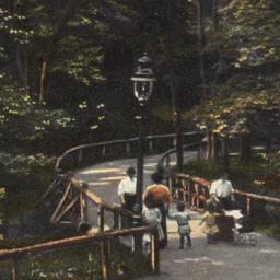 Rustic Bridge, Central Park...