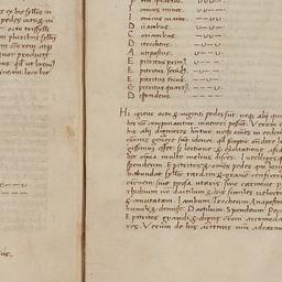 Latin Grammar