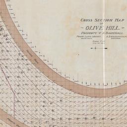 Olive Hill topographical plan