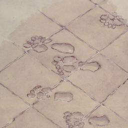 Drawing of footprint floor ...