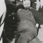 Camera director lying on th...