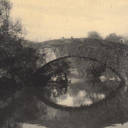 Vine Arch Bridge, Central P...
