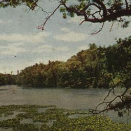View on Bronx Lake New York...