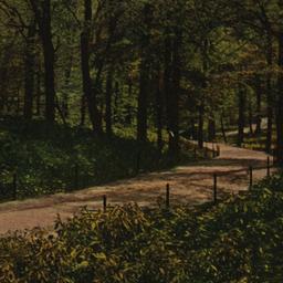 Beaver Valley Walk New York...
