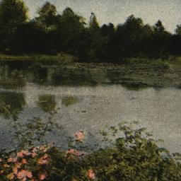 Brooklyn Botanic Garden, th...