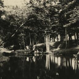 Our New Flatbush Park in Pa...