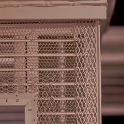 Detail of egg and dart mold...