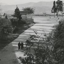 A man and a woman walking o...