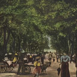 The Mall, Central Park, New...