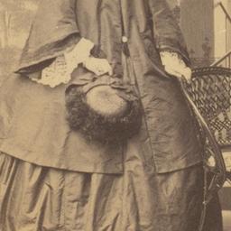 Portrait of an Unknown Woman