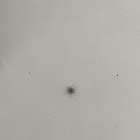 [Messier. SS209]