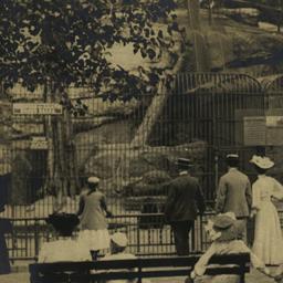 Bear Dens, New York Zoologi...