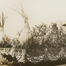 Floats/Parade Wagons: Plent...
