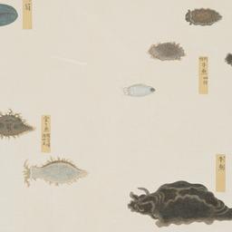 Group of Eight Fish with Mu...
