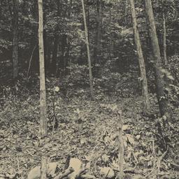 Page No. 015 - [William C. ...