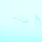 [Lecture] The Possibility o...