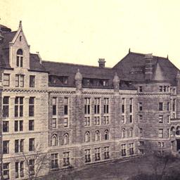 Museum of Nat. History, N.Y.