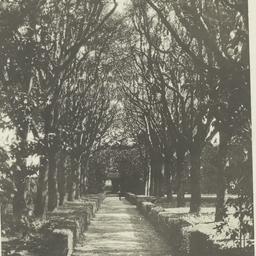 Page No. 027 - Rome, Villa ...