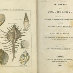 Rudiments of Conchology