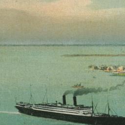 New York Harbor, Bird's...