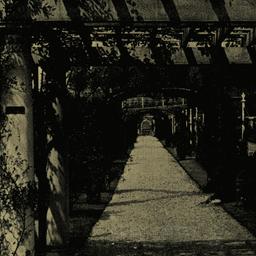 Pathway through Archway of ...
