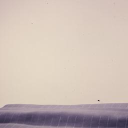 Model, exterior view.