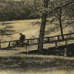 Scene in Bronx Park, N Y.