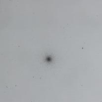 [Messier. SS273]