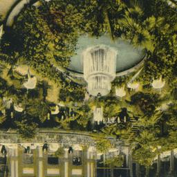 Famous Sunken Palm Garden, ...