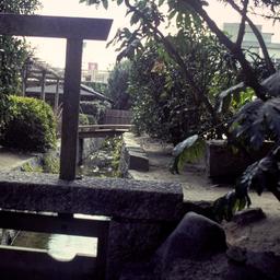 Japanese garden.