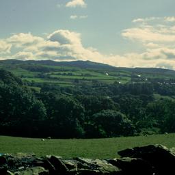 Fields.