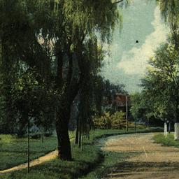Lefferts Avenue Looking Nor...