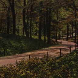 Beaver Valley Walk New York...