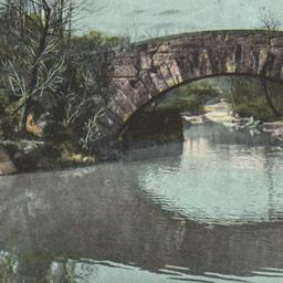Vine Arch Bridge, Central P...