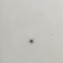 [Messier. SS218]
