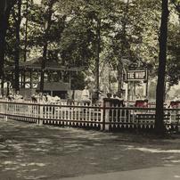 The Whip in a country setting