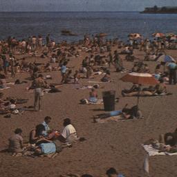 Beach Scene, South Beach, S...