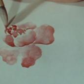 How to Paint in the Chinese...