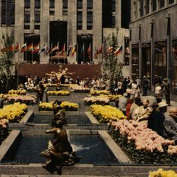 Rockefeller Center Flower P...