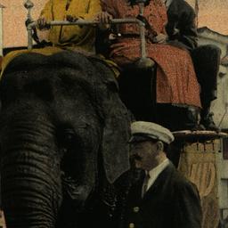 Riding the Elephant at Cone...