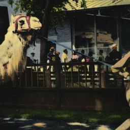 Camel Ride Track, New York ...