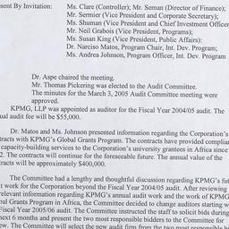 Audit Committee Meetings