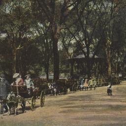 The Mall, Central Park, N.Y...