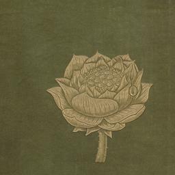 Lotus and Jewel