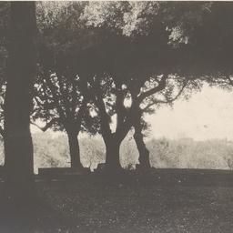 Page No. 066 - Frascati, Vi...