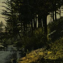 View of Bronx River, White ...