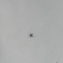 [Messier. SS208]