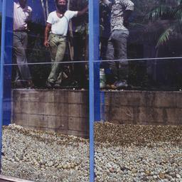 Workers with plants seen th...
