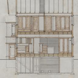 Longitudinal section