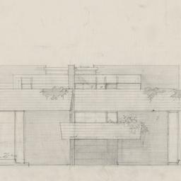 Elevation